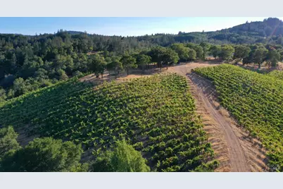 6225 W Dry Creek Road, Healdsburg, CA 95448 - Photo 26