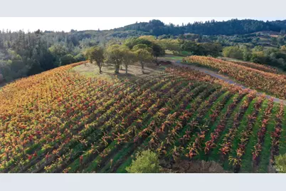 6225 W Dry Creek Road, Healdsburg, CA 95448 - Photo 2