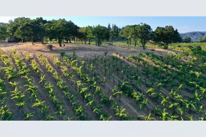 6225 W Dry Creek Road, Healdsburg, CA 95448 - Photo 52