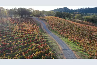 6225 W Dry Creek Road, Healdsburg, CA 95448 - Photo 58