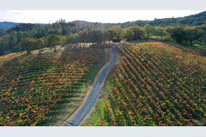 6225 W Dry Creek Road, Healdsburg, CA 95448 - Photo 56