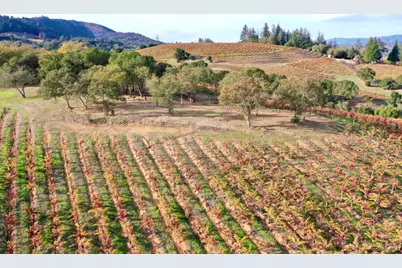 6225 W Dry Creek Road, Healdsburg, CA 95448 - Photo 8