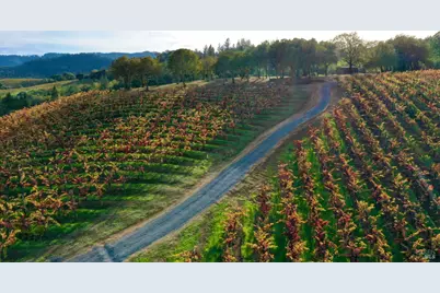 6225 W Dry Creek Road, Healdsburg, CA 95448 - Photo 64