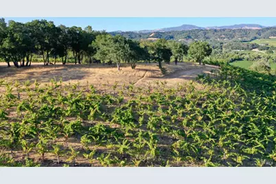 6225 W Dry Creek Road, Healdsburg, CA 95448 - Photo 54