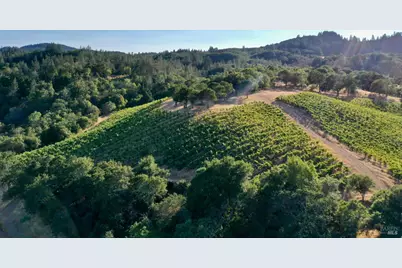 6225 W Dry Creek Road, Healdsburg, CA 95448 - Photo 44