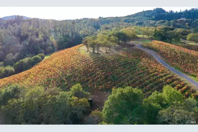 6225 W Dry Creek Road, Healdsburg, CA 95448 - Photo 84