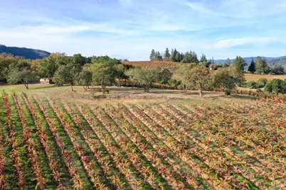 6225 W Dry Creek Road, Healdsburg, CA 95448 - Photo 6