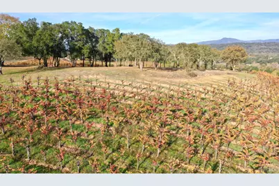 6225 W Dry Creek Road, Healdsburg, CA 95448 - Photo 86