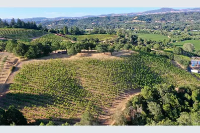 6225 W Dry Creek Road, Healdsburg, CA 95448 - Photo 36