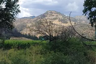 4104 St Helena Hwy, Calistoga, CA 94515 - Photo 36