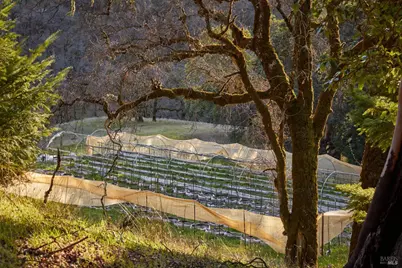 8450 Orr Springs Road, Ukiah, CA 95482 - Photo 52