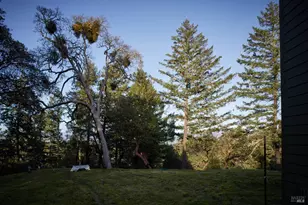 8450 Orr Springs Rd, Ukiah, CA 95482 - Photo 50