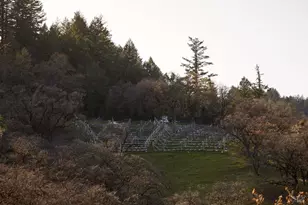 8450 Orr Springs Rd, Ukiah, CA 95482 - Photo 48