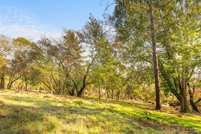 1499 Los Olivos Road, Santa Rosa, CA 95404 - Photo 1