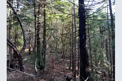 34620 Eureka Hill Road, Point Arena, CA 95468 - Photo 22