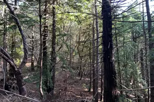 34620 Eureka Hill Rd, Point Arena, CA 95468 - Photo 22