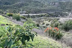 1987 Capell Valley Rd, Napa, CA 94558 - Photo 10