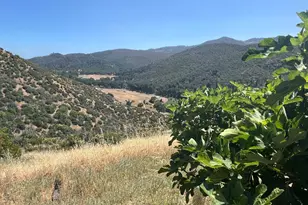 1987 Capell Valley Rd, Napa, CA 94558 - Photo 18