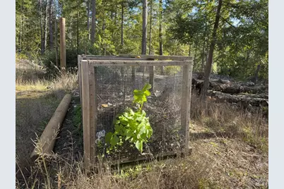 40695 Roseman Creek Road, Gualala, CA 95445 - Photo 66