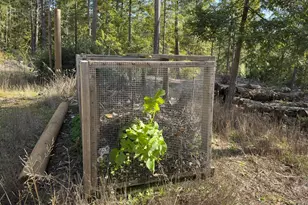 40695 Roseman Creek Rd, Gualala, CA 95445 - Photo 66