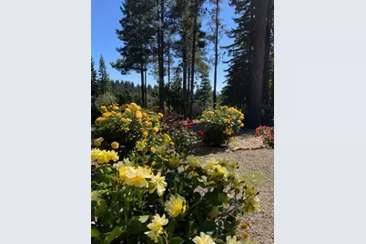 40695 Roseman Creek Road, Gualala, CA 95445 - Photo 78