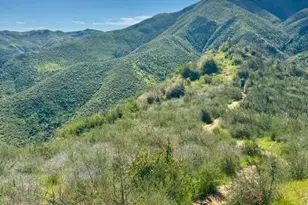 8560 Holmes Ln, Winters, CA 95694 - Photo 94