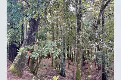 26075 Poppy Drive, Willits, CA 95490 - Photo 2