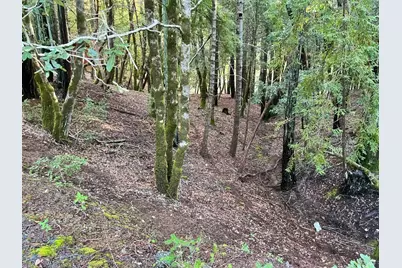 26075 Poppy Drive, Willits, CA 95490 - Photo 1