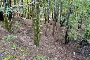 26075 Poppy Dr, Willits, CA 95490 - Photo 1