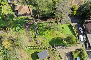 123 Cornelia Ave, Mill Valley, CA 94941 - Photo 4