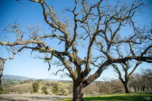 3576 Monticello Rd, Napa, CA 94558 - Photo 18