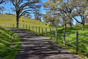 100 Longhorn Ridge Rd, Napa, CA 94558 - Photo 52