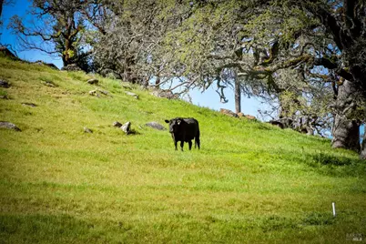 100 Longhorn Ridge Road, Napa, CA 94558 - Photo 54