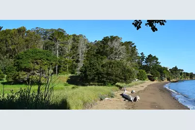 3800 Paradise Drive, Tiburon, CA 94920 - Photo 6