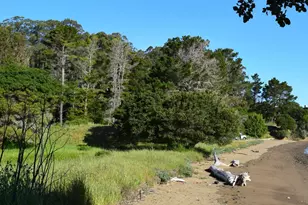 3800 Paradise Dr, Tiburon, CA 94920 - Photo 6