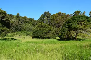 3800 Paradise Dr, Tiburon, CA 94920 - Photo 2