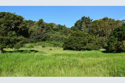 3800 Paradise Drive, Tiburon, CA 94920 - Photo 12