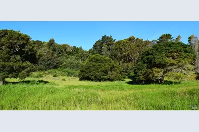 3800 Paradise Drive, Tiburon, CA 94920 - Photo 14