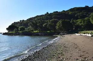 3800 Paradise Dr, Tiburon, CA 94920 - Photo 8