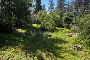 896 Sanitarium Rd, Deer Park, CA 94576 - Photo 20