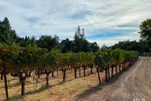 1180 Monticello Rd, Napa, CA 94558 - Photo 64