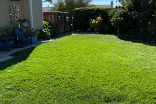 808 Pochard Way, Suisun City, CA 94585 - Photo 10