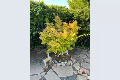 808 Pochard Way, Suisun City, CA 94585 - Photo 24