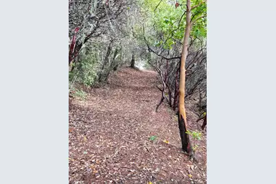 47111 Fox Rock Road, Laytonville, CA 95454 - Photo 44