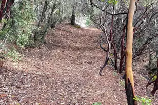 47111 Fox Rock Rd, Laytonville, CA 95454 - Photo 44