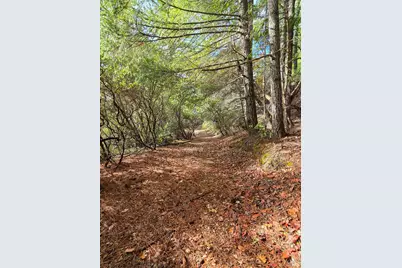 47111 Fox Rock Road, Laytonville, CA 95454 - Photo 42