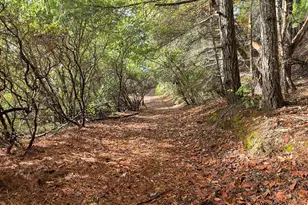 47111 Fox Rock Rd, Laytonville, CA 95454 - Photo 42