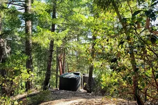 47111 Fox Rock Rd, Laytonville, CA 95454 - Photo 38