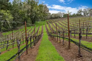 4630 Maddocks Rd, Sebastopol, CA 95472 - Photo 36