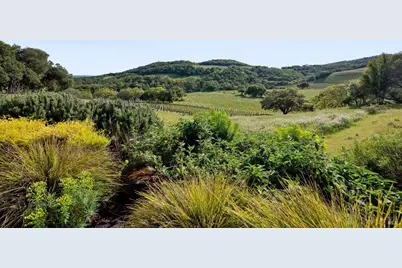 18000 Gehricke Road, Sonoma, CA 95476 - Photo 58